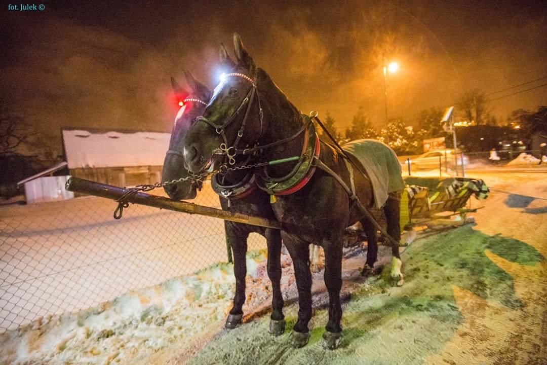 Отели типа «постель и завтрак» DW. Limba pod Kotelnicą Бялка-Татшаньска-32